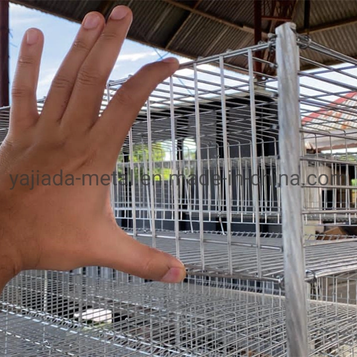 Poultry Famer Equipment Bird Cage for Quail