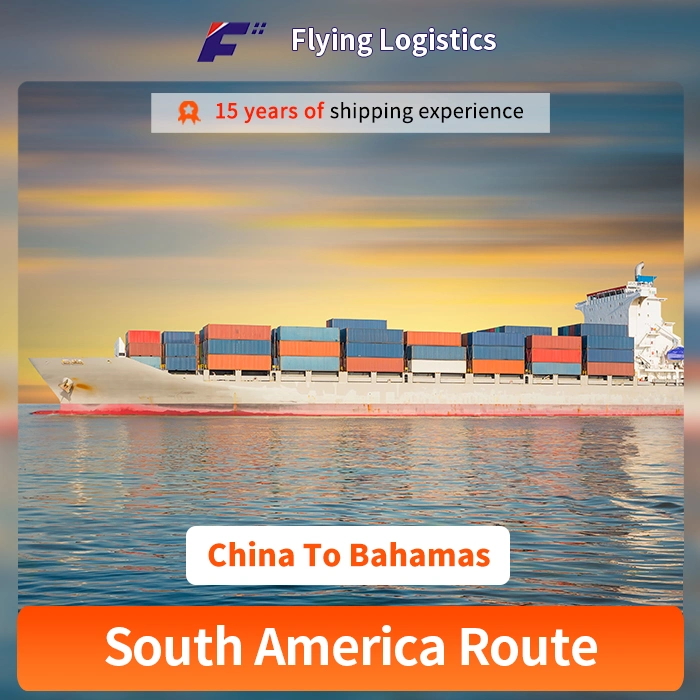 Professional China Shipping Agency Freight Express to Bahamas Logistics Service