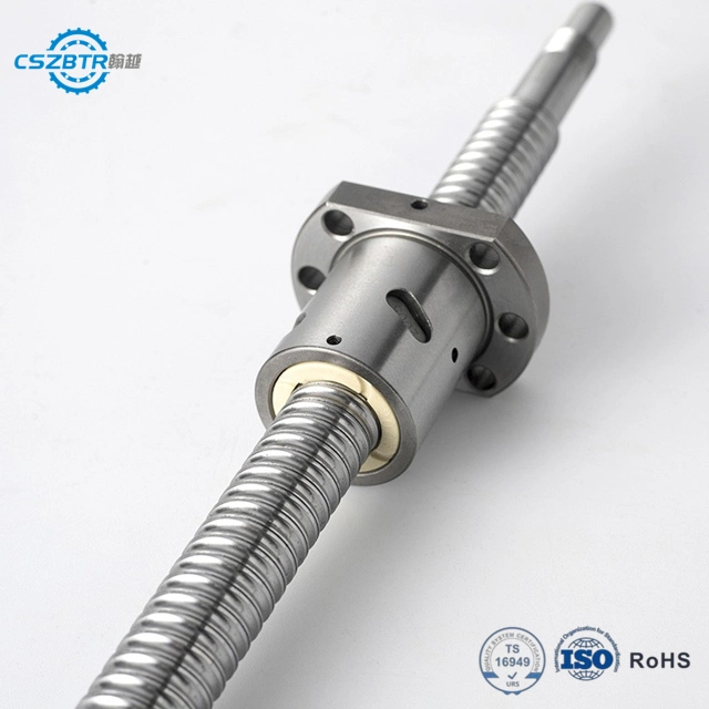 Machine Tool Transmission CNC Sfu5010 High Precision C3 C5 C7 Custom Linear Nut Lead Ball Screw