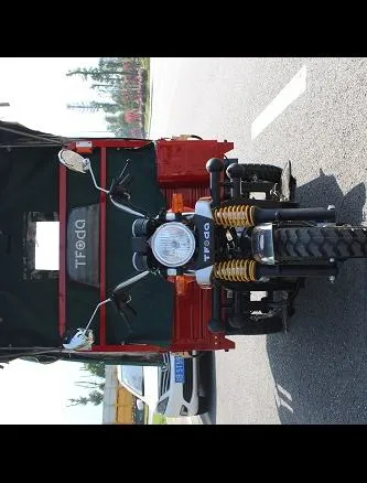 Chinese Mini Motor Cheap Electric Cargo Tricycle Auto Rickshaw Passenger Threewheel Motorcycle