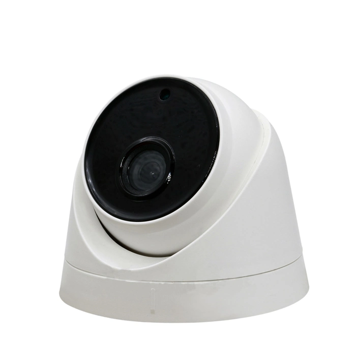 4-Zoll-Kunststoff-Humanoid Detection Defog Ai WDR Poe CCTV Network Security H. 265 ONVIF Dome-IP-Kamera