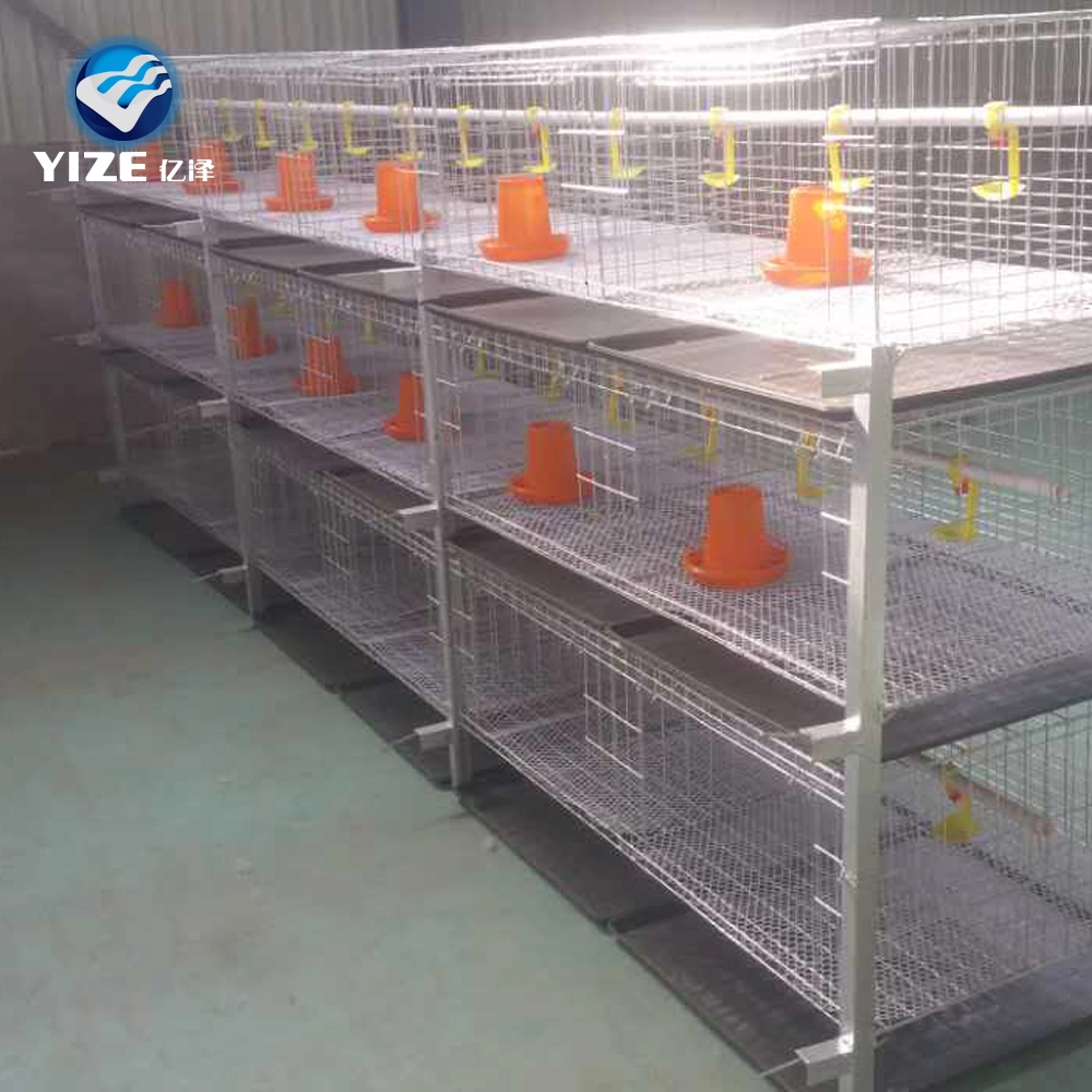 H Type Automatic Broiler Battery Automatic Feeding Cage System