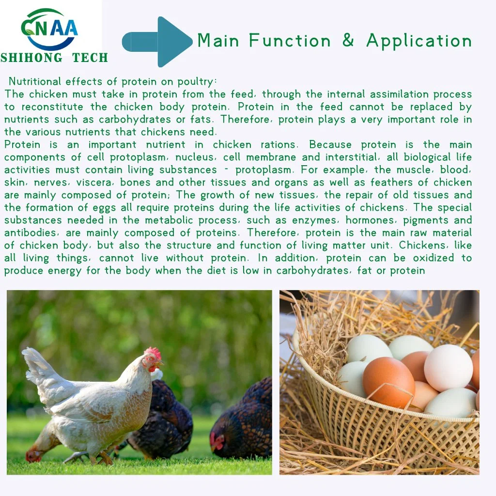 Protein Chromium Feed Additive Especially for Laying Hen