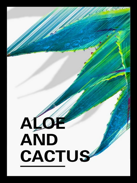 Cactus Aloe Vera planta botânica estilo Verde tela moderna personalizada Pintura de parede de arte - Home Hotel barato decoração moldura imagem