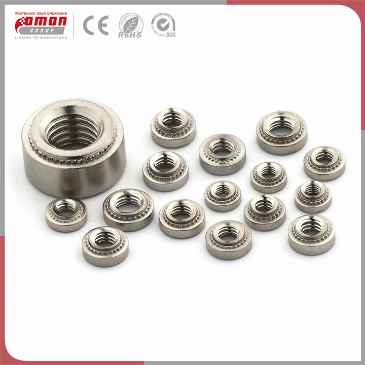 OEM Bolt Brass Stainless Steel Hex Rivet Nut for Building