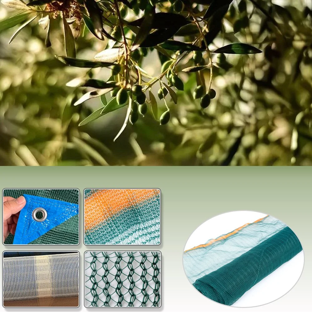 100% New HDPE Olive Net for Agriculture Olive Collection Net