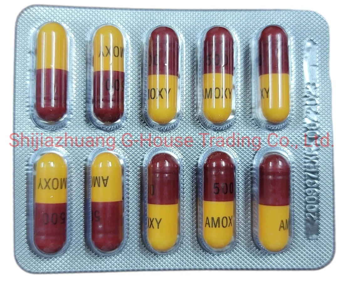 Amoxicillin Capsule 500mg Finished Medicine Pharmaceutical Drug