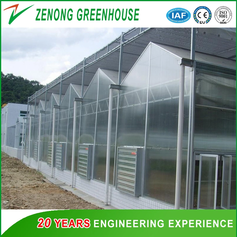 Agricultural Intelligent PC Sheet Greenhouse for Planting/Seed Breeding/Experiment/Econology Eco Restaurant