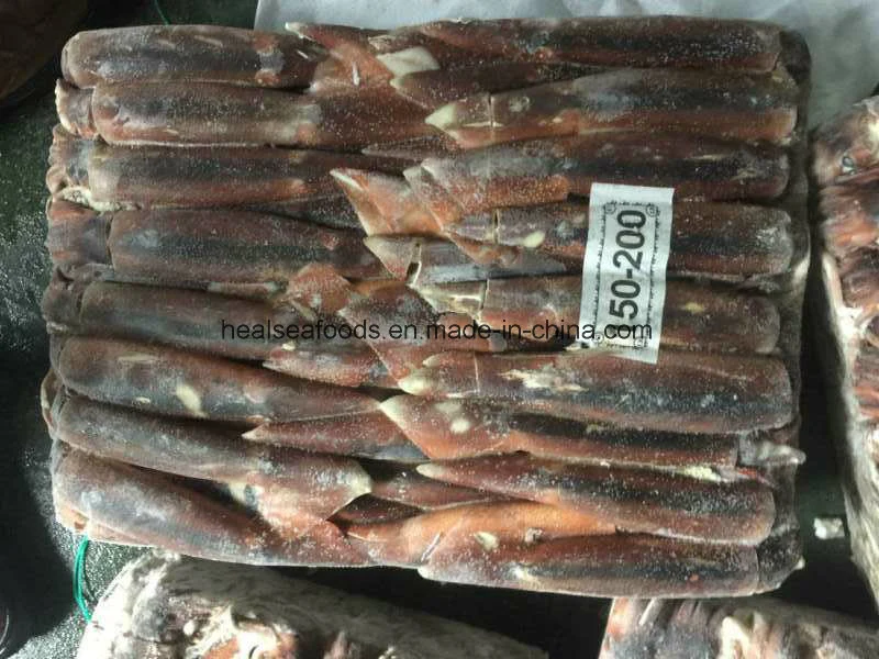 Argentine Sea Illex Squid for Bait