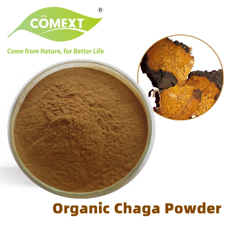 Comext Water Soluble Chaga Mushroom Extract 10: 1 Chaga Extract Powder