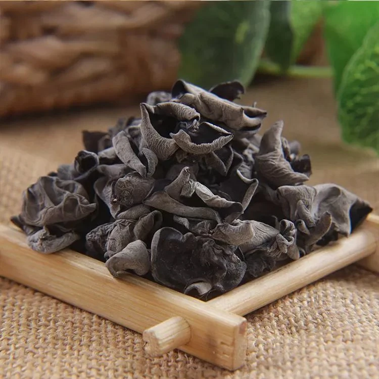 Chinês High Quality Fresh Bulk Dry Black fungo Mushroom