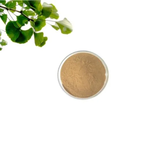 High quality/High cost performance  Ginkgo Biloba Leaf Extract Powder CAS 90045-36-6