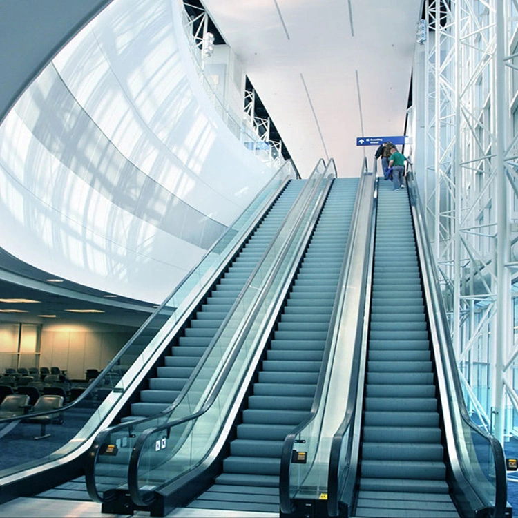 Professional Manufacturer Energy Saving Price Automatic Electric Lift Escalator