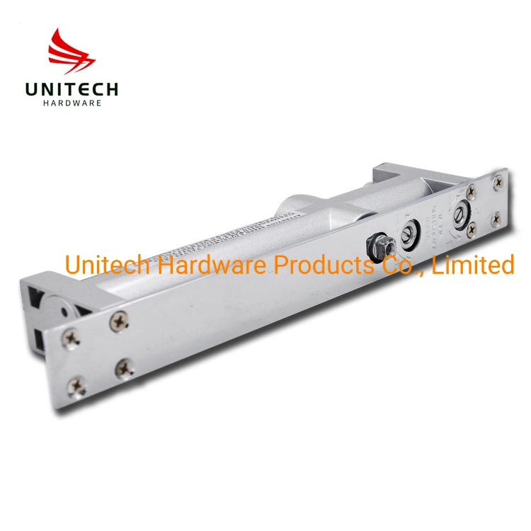 Aluminum Adjustable Conceal Hydraulic Fire Door Hidden Door Closer Floor Hinge