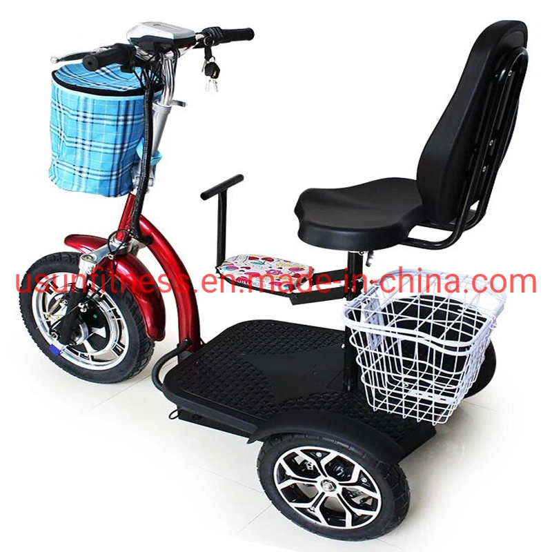 Promotion 500W Low Price 3 Wheel Electric Mobility Scooter Cheap 3 Wheel Electric Tricycle Cargo Bike Cargo Tricycle Bicycle with CE