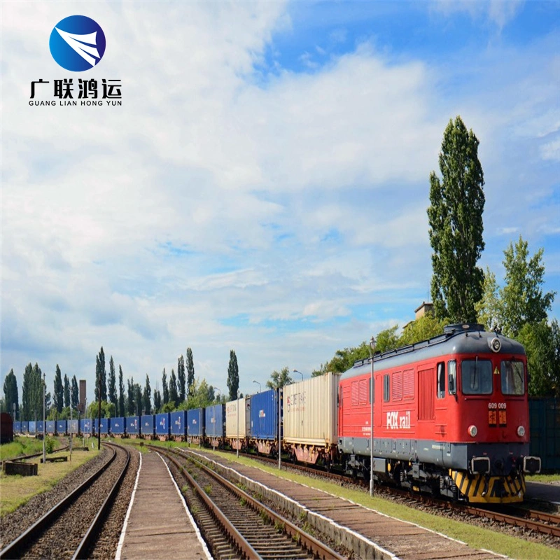 Lower Price and Best Railway Service From Shenzhen Ship to France Denmark Spain Italy DDP Service