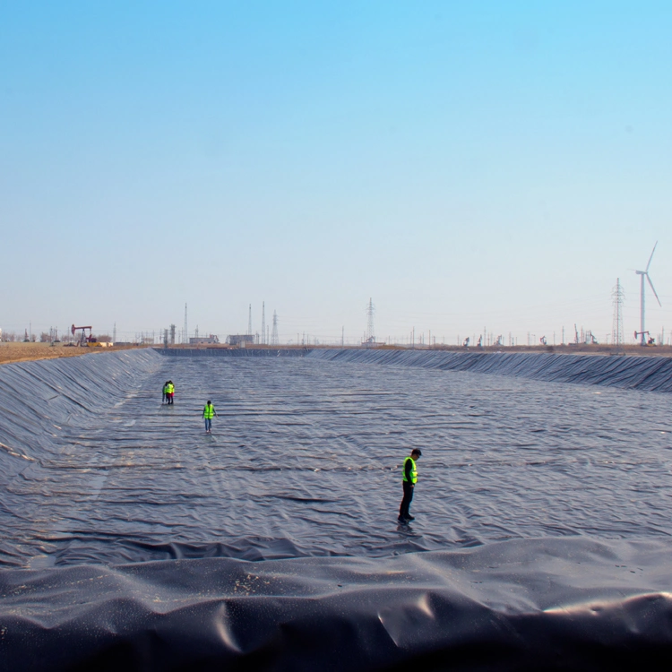 ASTM Polietileno de alta densidad suave resistente al agua peces Geomembrana Pond Liner