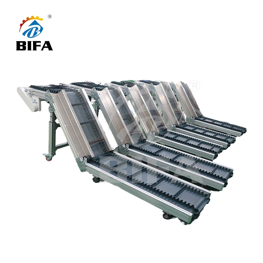 Bifa Adjustable Height Feeder Inclined Belt Conveying Equipment