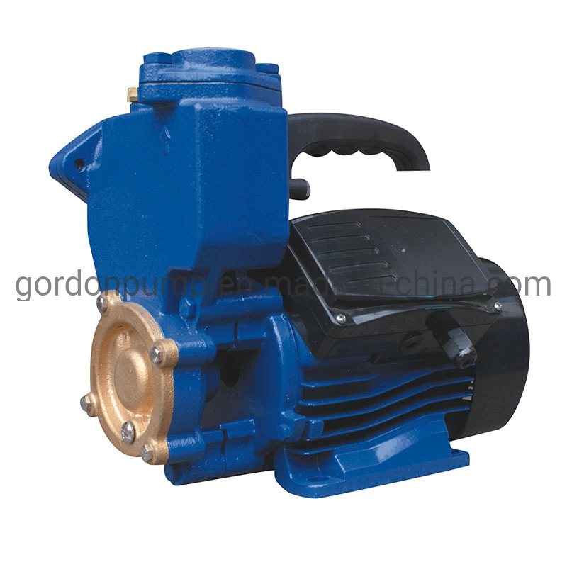 Factory Direct Supply Vortex Self Priming Water Sprinkler System Water Pump