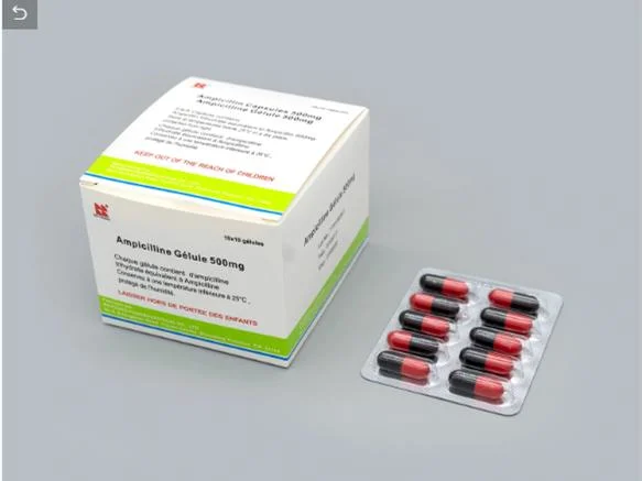 Fábrica de GMP/ampicilina cápsulas 500 mg/.