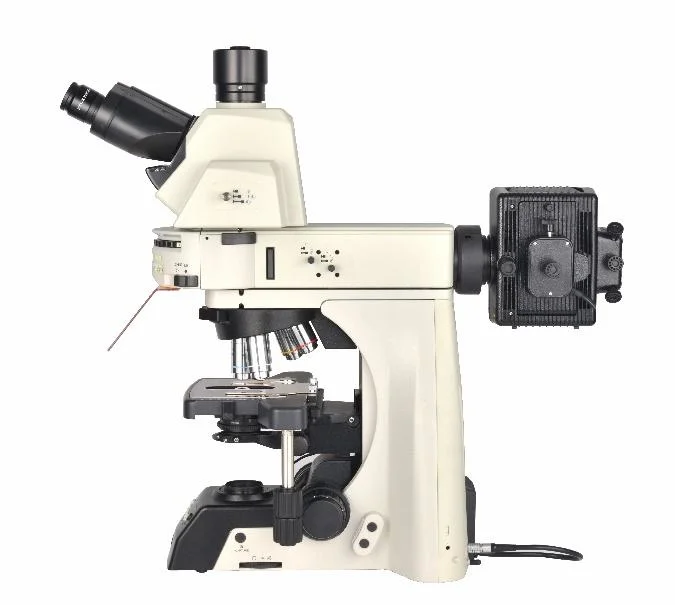 BestScope BS-2081f Research Fluorescent Biological MicroScope