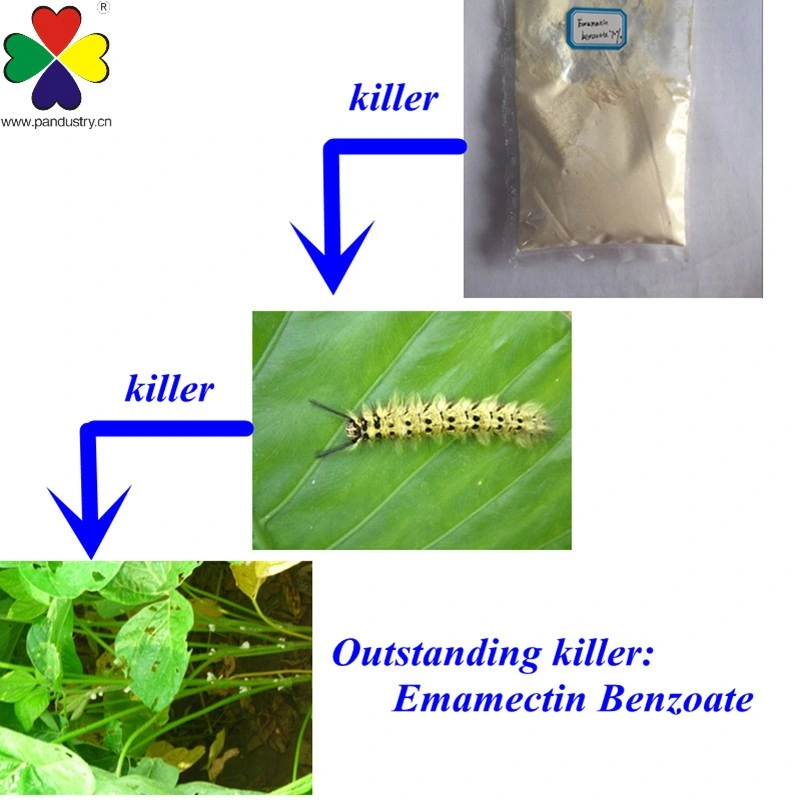 Entrega rápida de plaguicidas de Agroquímicos Emamectin insecticida en polvo de benzoato de 70%TC