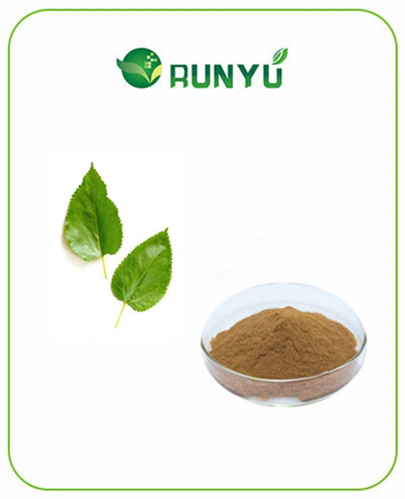 Mejor Precio Extracto Natural de hojas de Mulberry polvo 1-Deoxynojirimicina DNJ 1%-5%