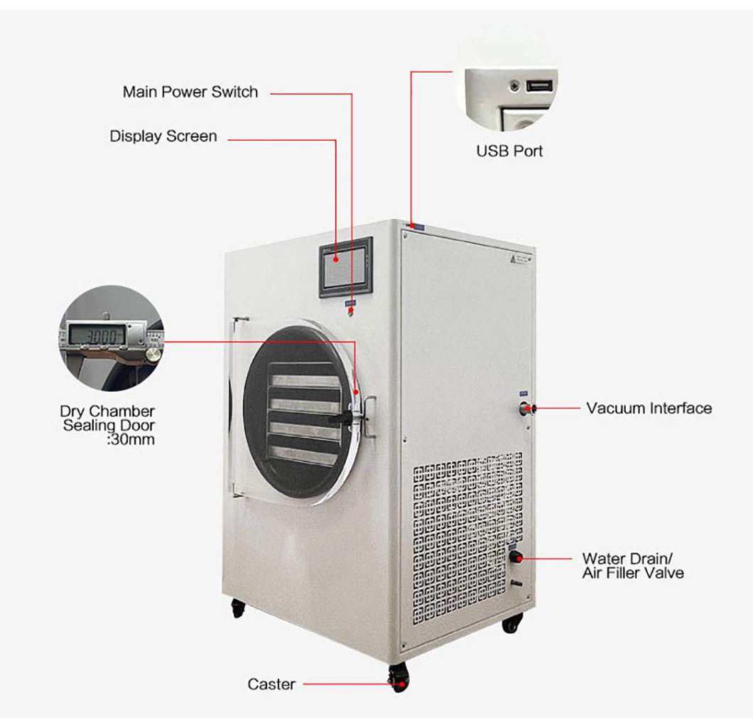 Pequeno Vácuo Liofilização Lyophilizer Máquina Produtos hortícolas Frutas Frescas Pet Food Congelamento Inicial da Máquina do secador