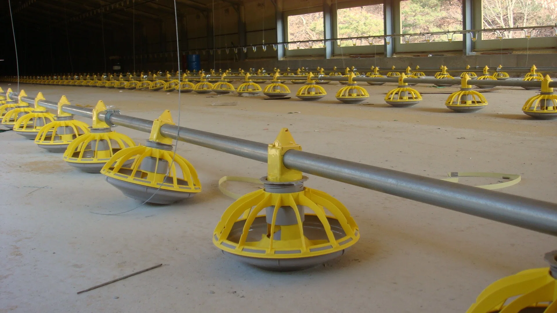 Poultry Equipment ferme des poulets à griller Coop pour la vente