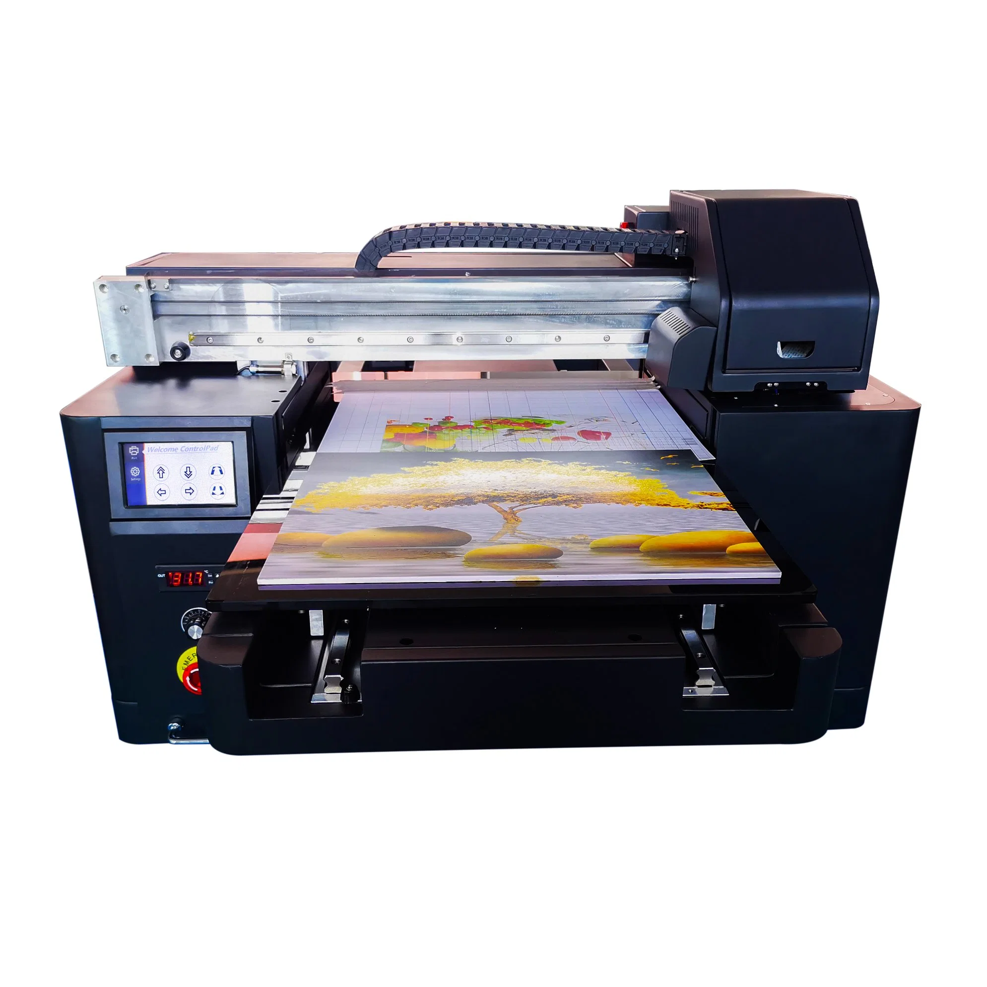 Fashion Low Cost LED UV 3D Inkjet Printer for Golf Ball