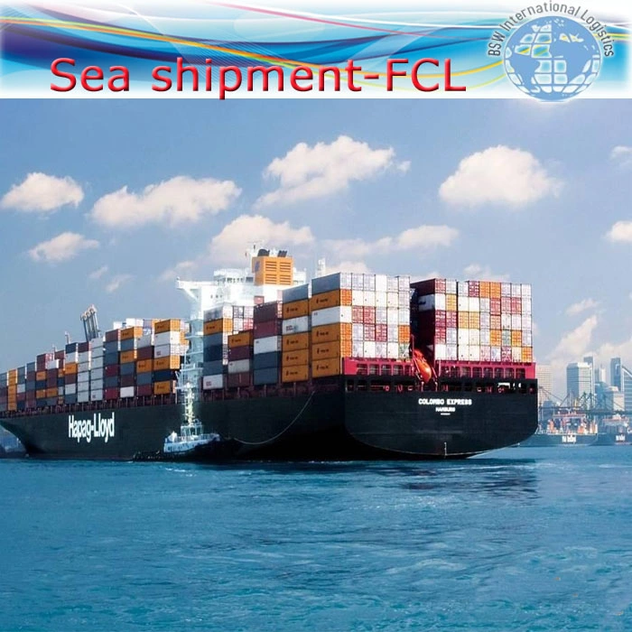 Professional Sea Fright Shipping Service From China to Columbia