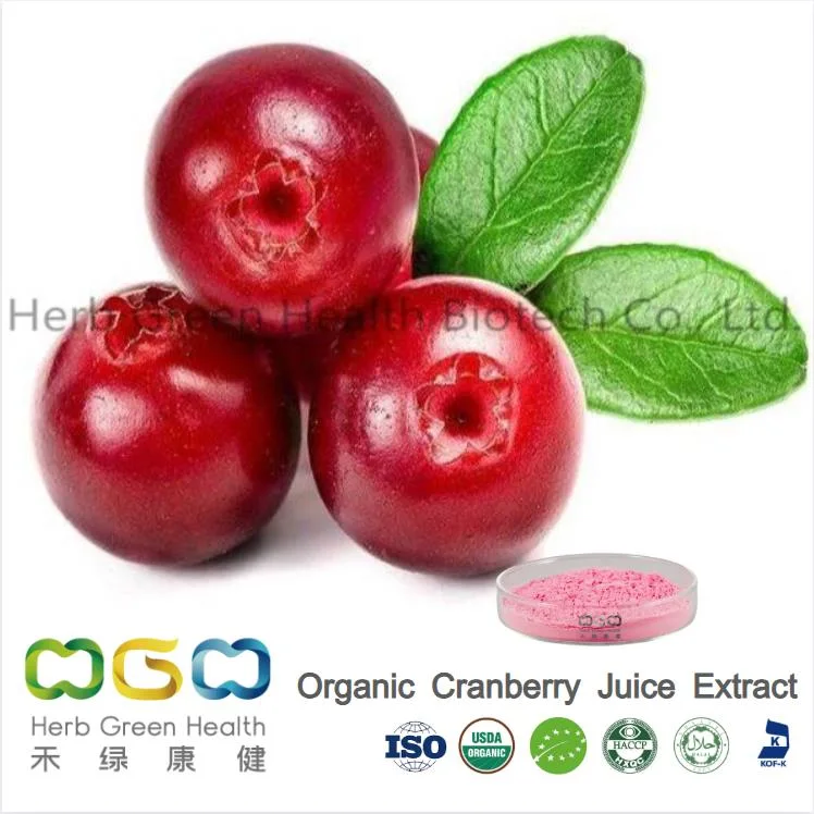 Wholesale/Supplier Best Price Pacs 30% Proanthocyanidin Powder Cranberry Fruit Extract