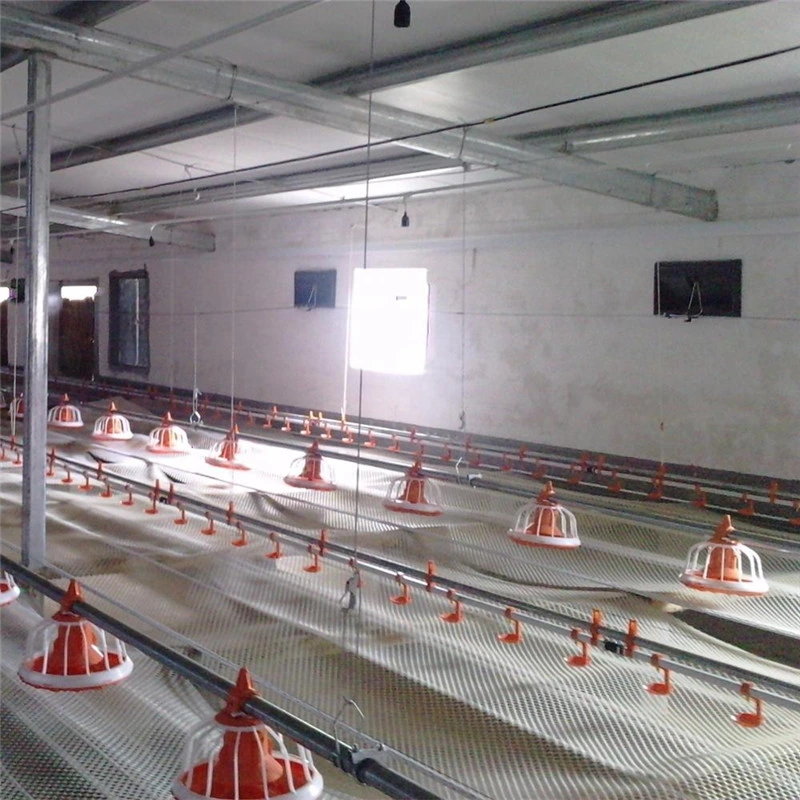 Edelstahl Full Set Automatische Hühnerfütterung System Geflügelfarm
