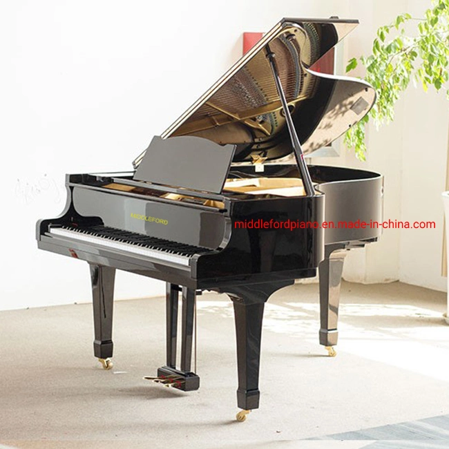 Pulido de color negro piano acústico para la venta Gp-190e