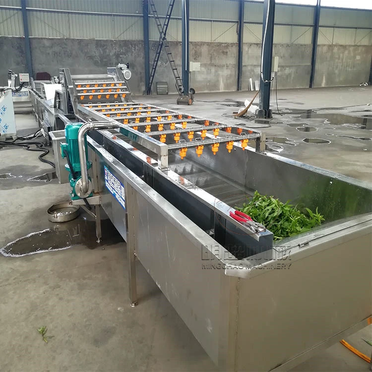 Fully Automatic Industrial High Pressure Water Spray Fruit Washer