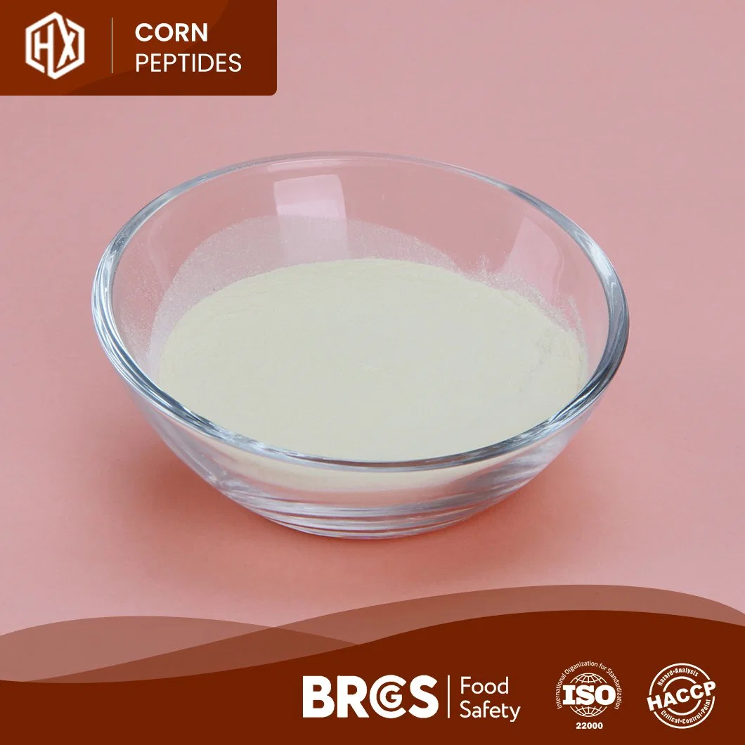 Le traitement des protéines de maïs Haoxiang les fabricants de gros de protéines végétales Cornbean Cornbean peptide actif la poudre de protéine utilisée pour Skin-Whitening Anti-Wrinkle