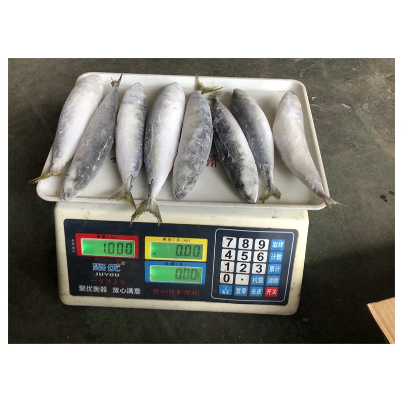 Gefrorener Makrele Pacific Cheap Price 80-100g IQF Frozen