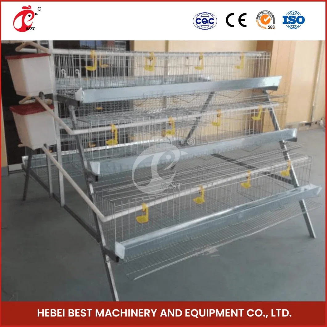 Bestchickencuage um tipo Cage Cage China Layer Cage Equipamento de galinha Amostra de fábrica disponível gaiolas de camada de aves Configuração recipiente de transporte galinha Coop