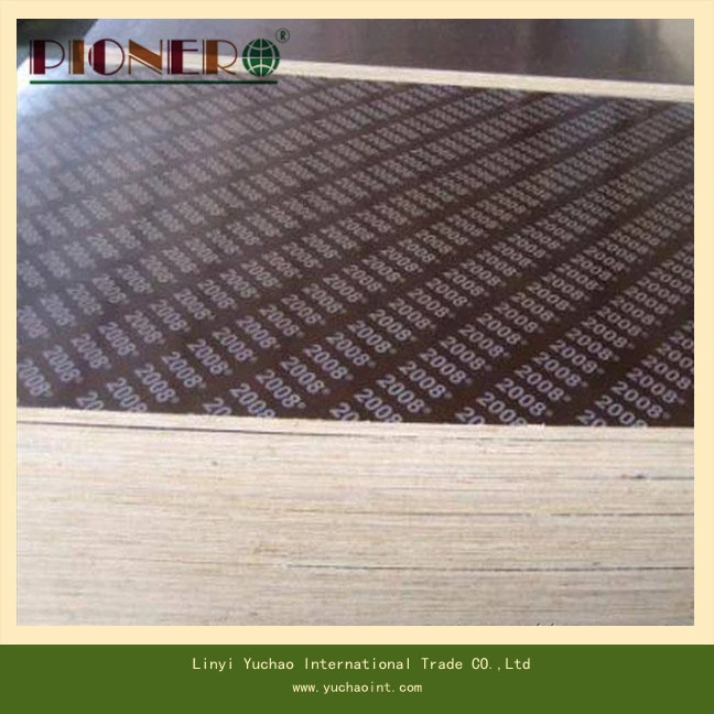 Factory-Directly Sales Film Faced Plywood with Top Quality