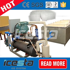 Icesta Ce Confirmed Crane System Design Block Ice Machine