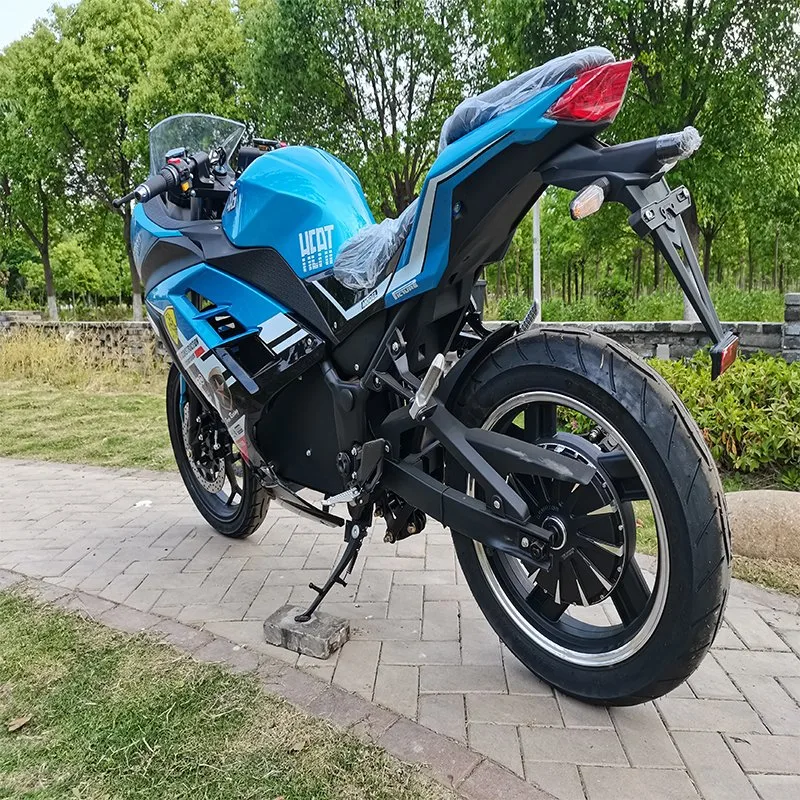 Popular and Nice EEC Electric Motorcycle/Ebike/Scooter with Big Power and Long Distance