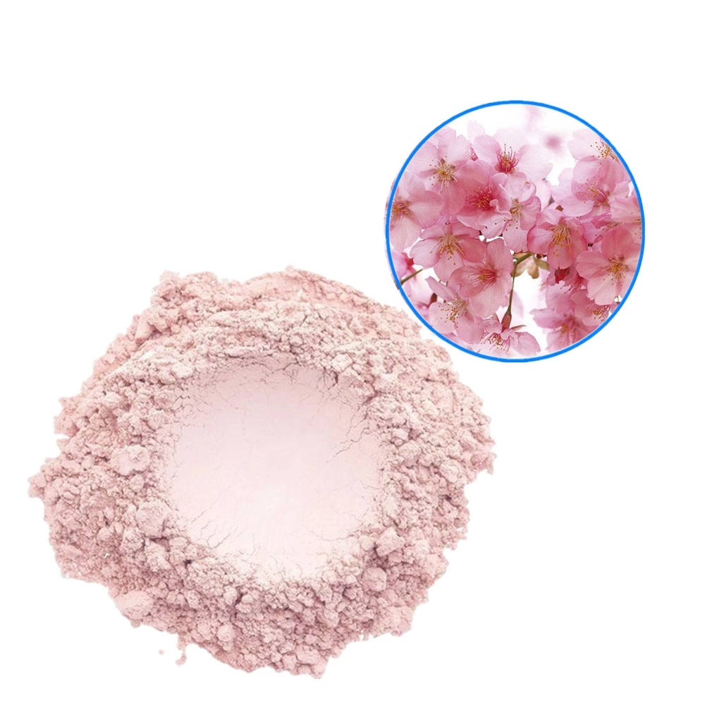 Flor Prunus serrulata comestible Sakura polvo rosa 80 malla