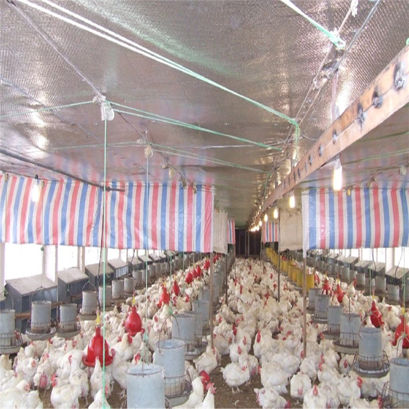 Control Prefab Steel Structure Design Chicken Poultry House Farm Shed