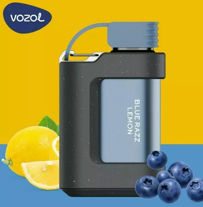 Vozol Gear 10000/7000/6000 Wholesale/Supplier Vape with Excellent Flavors Vape Smoking Vape Pod