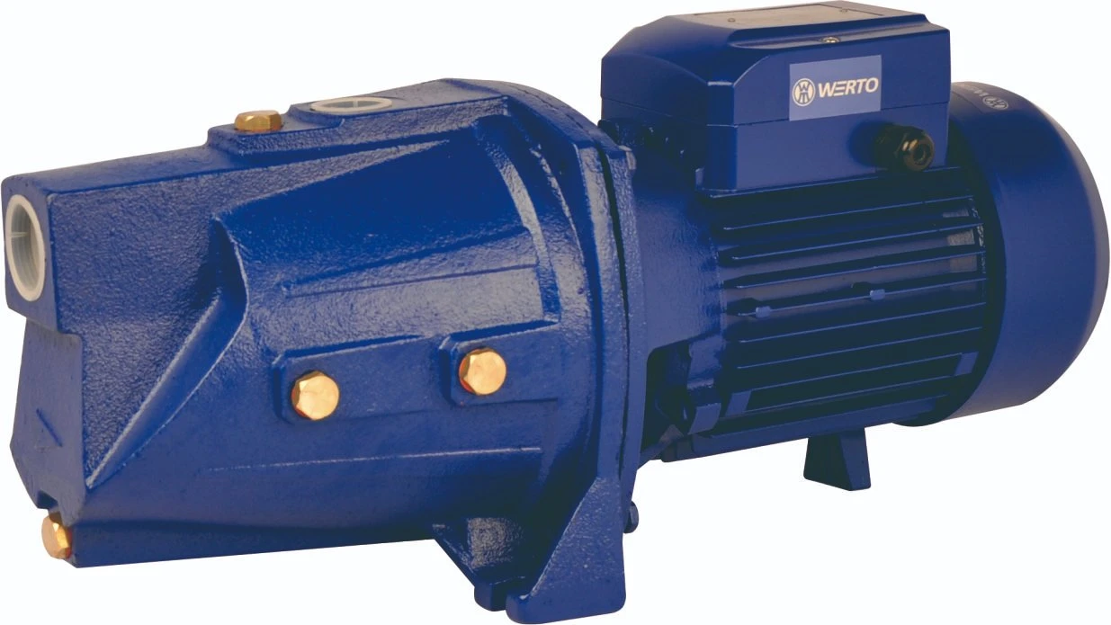 Werto Jsw/3bl 1.5kw 2HP 1.25"&times; 1" Inch Self-Priming Jet Clean Water Pump Domestic Use & Garden Irrigation