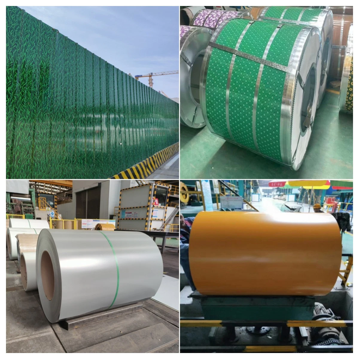 PPGI/PPGL vorlackiert, galvanisiert/Galvalume/aluzinc/Zincalume Steel Coil für Dachblech