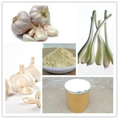 100% Natural Bulk Knoblauch Pulver Getrocknet Dehydriert Allicin Knoblauch Pulver