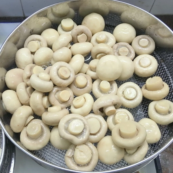 Canned Food Mushroom Whole in Private Label