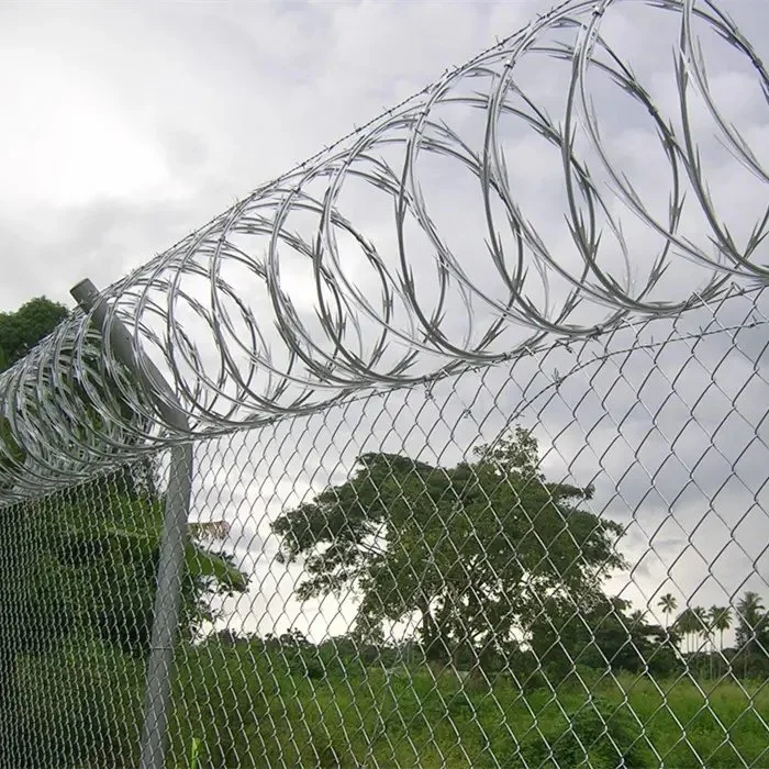 Concertina Barbed Tape & Razor Wire with Factory Price