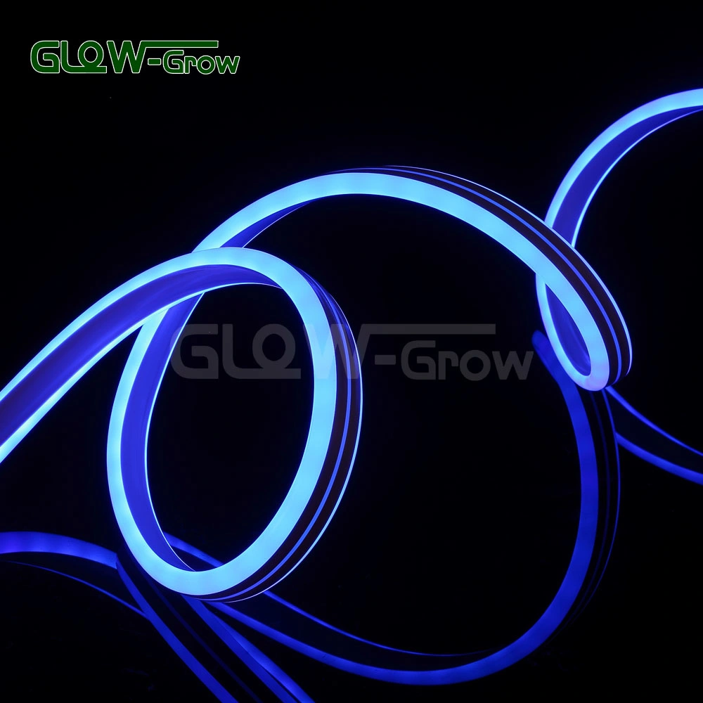 UL ETL Color Changing Double Side RGB Sync 5050 Flexible LED Neon Flex Strip Light with Reote Controller for Project Commercial Holiday Decoration